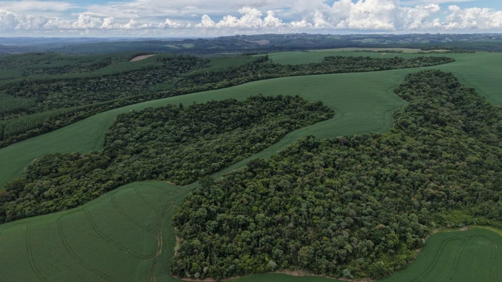 Vista aérea de áreas verdes, florestas e campos agrícolas na região do Paraná, no Brasil.